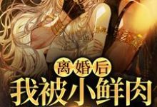 离婚后，我被小鲜肉们围满了 林柠周聿安，离婚后，我被小鲜肉们围满了小说免费阅读-侠客文学