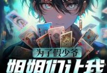 为了假少爷，姐姐们让我给他顶罪沈仪赵清涵小说在线章节目录阅读最新章节-侠客文学