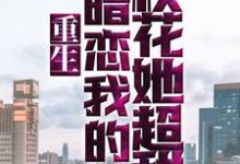 重生：暗恋我的校花她超甜这本小说在哪里可以看？哪里有免费试读章节？-侠客文学