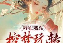 苏云绮为主角的小说哦吼！我靠控梦玩转平行世界在线阅读-侠客文学