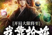 苏秦云鹤是哪本书的主角?开局大限将至,我靠抢婚续命免费读-侠客文学