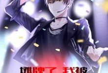 叶天李玲珑小说《摊牌了，我被系统砸中了》在线阅读-侠客文学