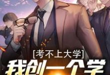 张律言小说《考不上大学?我创一个学校不就行了》在线阅读-侠客文学