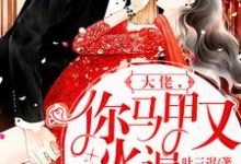 大佬，你马甲又火遍全球了这本小说怎么样？免费在线阅读试试-侠客文学