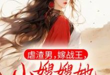 免费看虐渣男，嫁战王，小嫂嫂她医术第一小说的网站有哪些？-侠客文学