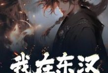 我在东汉，让刘邦称帝小说有没有完结版在线？-侠客文学