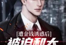 遭金钱诱惑后，被迫和大小姐领本本江玄苏瑾小说免费阅读-侠客文学