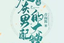 穿成炮灰男配的大嫂小说的所有章节都能在哪里免费读到？-侠客文学