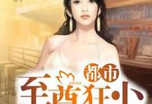 主角陆离洛倾城燕离殇苏长弓小说完结版在线阅读，都市至尊狂少免费看-侠客文学