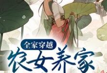 全家穿越：农女养家细水长流丁宁瑞哥儿，全家穿越：农女养家细水长流最新章节-侠客文学