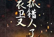 听说锦衣卫又抓错人了！章节免费在线阅读，李小牙王佳人完结版-侠客文学