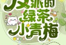 穿成反派的绿茶小青梅叶轻浅季承远在线章节免费阅读-侠客文学