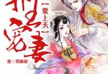 邪王宠妻要上天主角宋七七君凌夜凤决小说完结版章节在线阅读-侠客文学