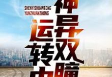 《神异双瞳运转中》小说大结局免费试读 徐晋宋乔小说-侠客文学