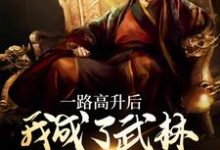 《一路高升后,我成了武林超级BOSS》小说主角李乘风章节章节免费在线阅读-侠客文学