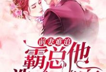 前妻难追，霸总他洗心革面小说的所有章节都能在哪里免费读到？-侠客文学