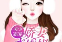 司少霸宠：娇妻水嫩嫩小说，司少霸宠：娇妻水嫩嫩免费阅读-侠客文学