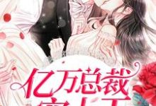 《亿万总裁宠上天》小说章节列表免费试读，秋雪怡顾飞白小说在线阅读-侠客文学