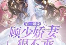 第一婚宠:顾少娇妻狠不乖小说,第一婚宠:顾少娇妻狠不乖夏柠顾林城陈团团-侠客文学