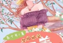 洛黎歌苏霆靳为主角的小说叫什么？免费看替嫁娇宠：夫人又美又飒-侠客文学