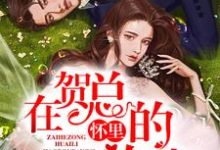 在贺总的怀里放肆这本小说完结了吗？免费查看最新章节-侠客文学