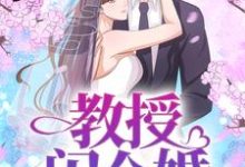 求教授,闪个婚小说免费资源-侠客文学