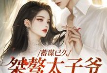 蓄谋已久：桀骜太子爷日日求亲亲小说完结了吗？在哪里可以免费读到？-侠客文学