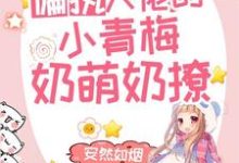 在线寻找偏执大佬的小青梅奶萌奶撩小说的无删减版本-侠客文学