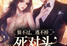 哪里可以免费读到林曜谢星忱的完整故事？寻找躲不过，逃不掉，死对头顶级诱宠-侠客文学