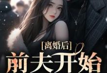 主人公叫盛以安傅承烨的小说哪里免费看-侠客文学