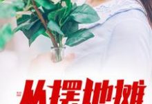 从摆地摊开始崛起陈力林曼，从摆地摊开始崛起小说免费阅读-侠客文学