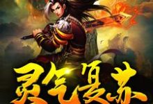 已完结小说《灵气复苏：从获得霸王模板开始无敌》最新章节-侠客文学