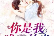 你是我唯一的光小说全文阅读需要付费吗？寻找免费资源-侠客文学