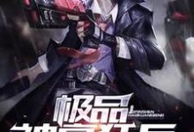 哪里能找到极品神豪狂兵小说的最新更新和免费章节？-侠客文学