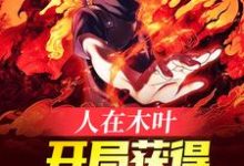 在线寻找宇智波卡卡西的小说，人在木叶，开局获得万花筒写轮眼免费阅读-侠客文学