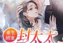 小说《重生团宠：封太太是个小可怜》在线章节阅读-侠客文学