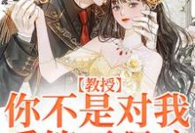 裴宴清苏晚宁为主角的小说叫什么？免费看教授，你不是对我爱答不理嘛-侠客文学