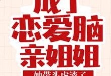 《成了恋爱脑亲姐姐，她带头虐渣了》小说主角叶芷章节章节免费在线阅读-侠客文学