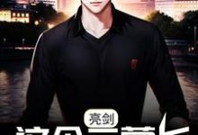 小说《亮剑：这个二营长有点彪啊！》在线章节阅读-侠客文学