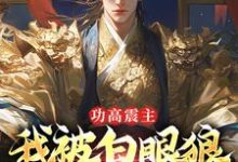 免费阅读陈风朱棣为主角的小说,功高震主,我被白眼狼皇帝罢黜了在线看-侠客文学