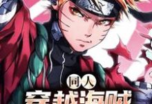 小说《同人：穿越海贼，鸣人杀疯了》章节免费阅读-侠客文学