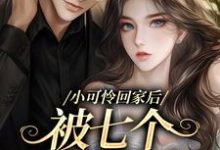 小可怜回家后,被七个兄长爆宠小说完结版章节免费阅读-侠客文学