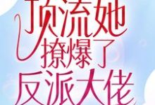 江楚宜墨迟砚为主角的小说叫什么？免费看全网惊呼！顶流她撩爆了反派大佬-侠客文学