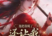 桑念谢沉舟小说在哪里可以看-侠客文学