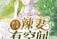 已完结小说《重生七零辣妻有空间》在线章节阅读-侠客文学