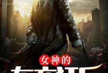 女神的布衣狂兵这本小说完结了吗？免费查看最新章节-侠客文学