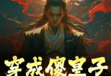 穿成傻皇子，我大闹京都萧万平赵十三小说免费阅读-侠客文学