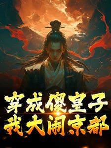 穿成傻皇子，我大闹京都萧万平赵十三小说免费阅读