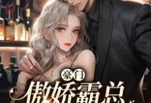 完结版《豪门:傲娇霸总宠妻无度》在线免费阅读-侠客文学
