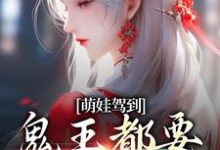 萌娃驾到，鬼王都要退避三舍这本小说怎么样？免费在线阅读试试-侠客文学